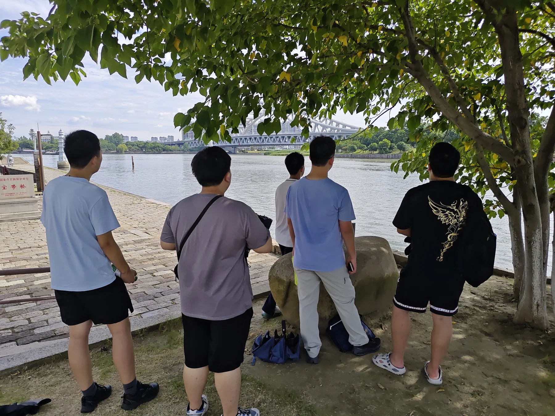 苏州宝带桥,树荫下远望桥体与水面,记录古桥所在的整体环境。
