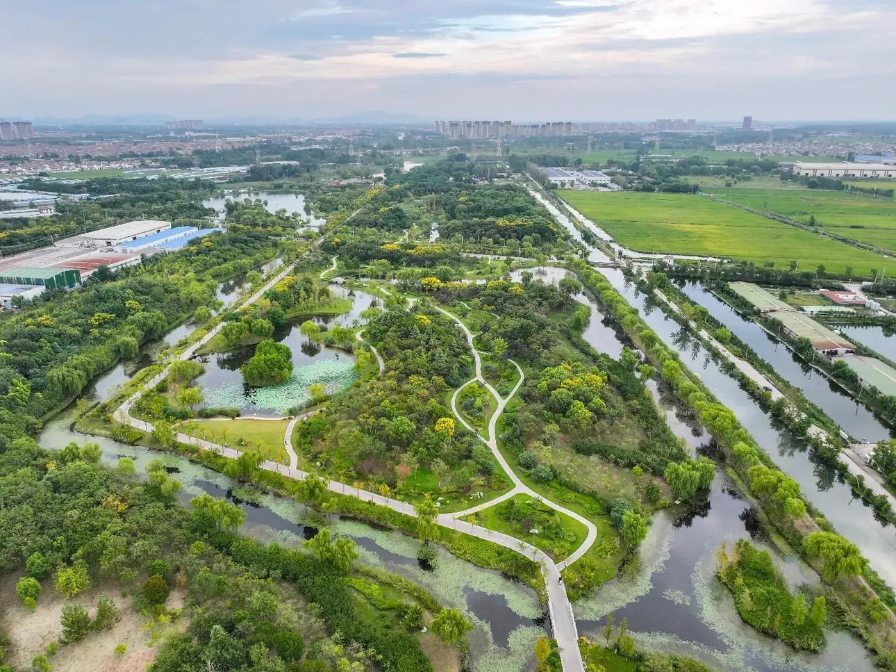 徐州大运河(邳州段)生态修复公园,湿地水系、保留岸线与成片绿地共同构成生态修复后的公园肌理。